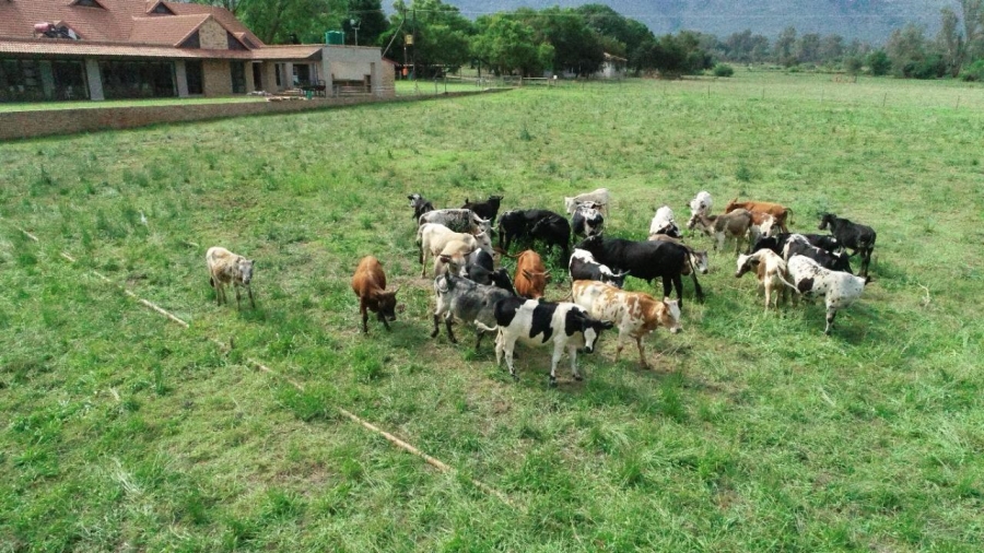 6 Bedroom Property for Sale in Remhoogte AH North West